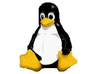 ¿Te has decidido por Linux? Ten esto en cuenta...